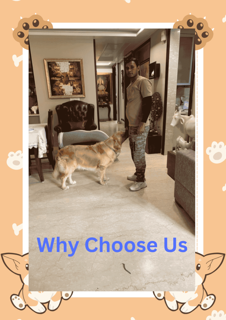 Why Choose Us
